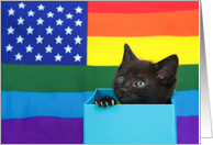 Tiny Kitten Happy Gay Pride Month card