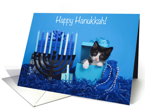 Tuxedo Kitten Happy Hanukkah card (1619914)