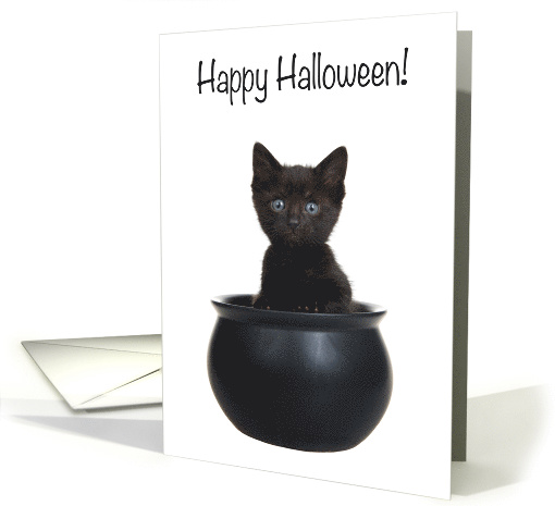 Black Kitten Popping out of a Cauldron, Happy Halloween card (1619926)