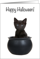 Black Kitten Popping out of a Cauldron, Happy Halloween card