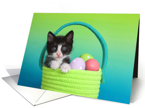 Tuxedo Kitten Happy Easter card (1620670)