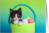 Tuxedo Kitten Happy Easter card