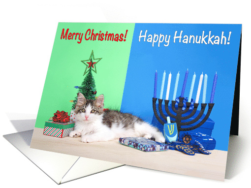 Multi Faith Merry Christmas Happy Hanukkah Kitten card (1637388)