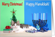 Multi Faith Merry Christmas Happy Hanukkah Kitten card
