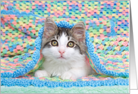 Kitten Under a Blanket Get Well Soon card