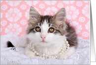 Kitten in Pearls and...