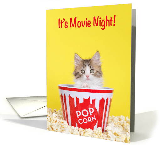 Kitten Popping out of Popcorn Bucket Socially Distanced... (1645868)