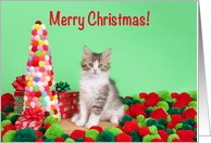 Yarn Balls with Kitten Merry Christmas card