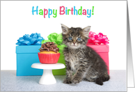 Kitten Party Happy Birthday card
