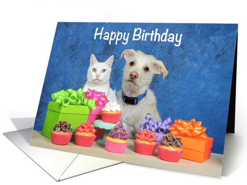 Cat and Dog Party Happy Birthday card (1662650)