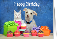 Cat and Dog Party Happy Birthday card