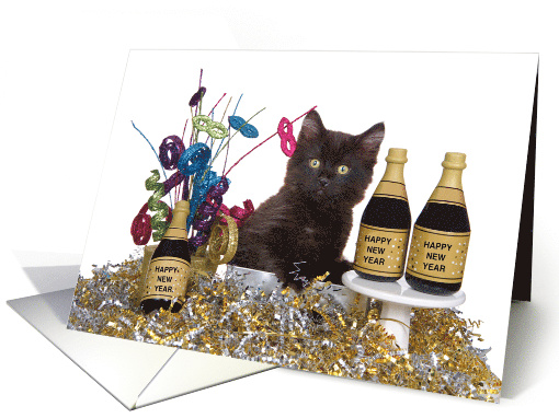 Festive Kitten Party Happy New Year card (1664144)