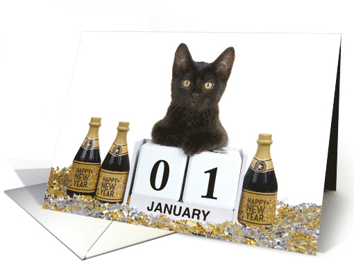 Calendar Blocks kitten Happy New Year card (1664176)