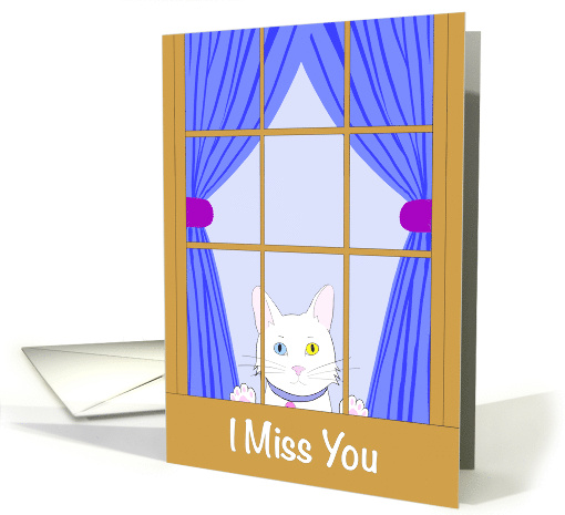 I Miss You White Kitten Looking Out Window with Paws on Glass card