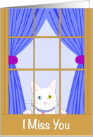 I Miss You White Kitten Looking Out Window with Paws on Glass card