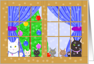 Merry Christmas Cat Family Peaking out Window Watching Snow Fall card