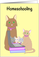 Homeschooling Cat...