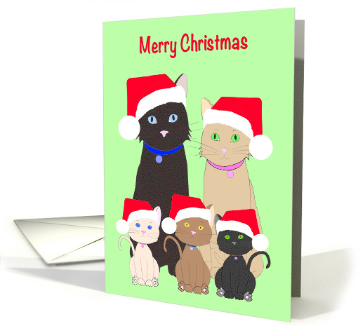 Merry Christmas Cats and Kittens wearing Santa Hats card (1673382)