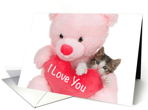 Polydactyl Kitten in a Bear Hug Happy Valentine's Day I Love You card