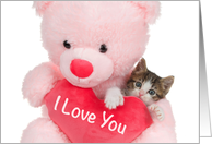Polydactyl Kitten in a Bear Hug Happy Valentine’s Day I Love You card