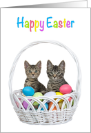 Two Kittens in an Basket with Colorful Eggs Happy Easter card