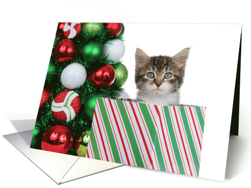 Kitten Peeking out of Present by Tree Merry Christmas card (1691454)