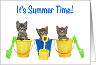 School’s Out It’s Summer Time Kittens in Buckets Happy Summer Vacation card