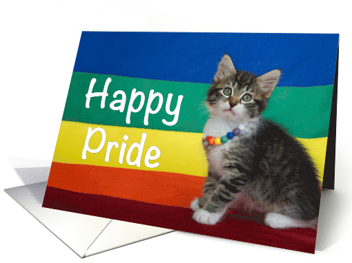 Happy Pride Kitten on Rainbow Flag Wearing Rainbow Bead Necklace card