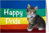 Happy Pride Kitten on Rainbow Flag Wearing Rainbow Bead Necklace card