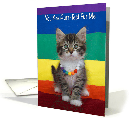 LGBT Kitten Wearing Rainbow Necklace Sitting on Pride... (1693076)
