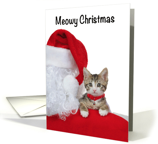 Santa Holding Kitten Merry Christmas card (1719512)