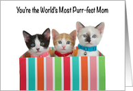 3 Diverse Kittens in Colorful Box Happy Mother’s Day from All of Us card