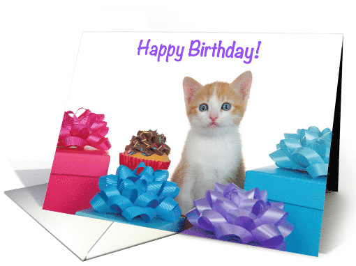 Orange and White Tabby kitten with Cupcake and Presents... (1734248)