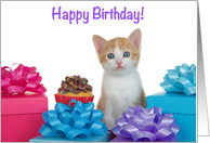 Orange and White Tabby kitten with Cupcake and Presents Happy Birthday card