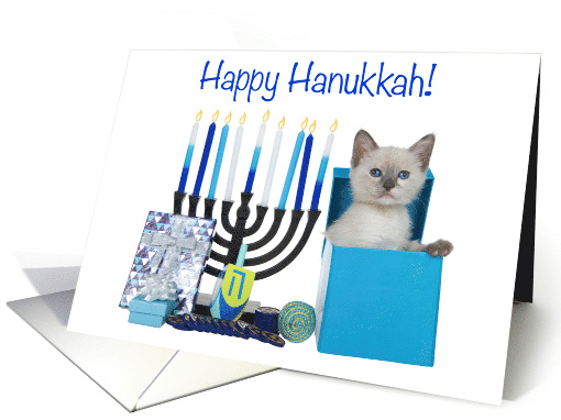 Siamese Kitten Peeking Out Hanukkah Present card (1811086)