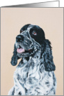 Oil painting of Spaniel card