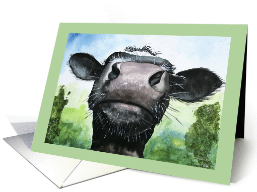 Humorous Watercolour Painting of Inquisitive Friesian Cow card