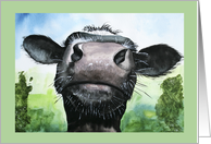 Humorous Watercolour Painting of Inquisitive Friesian Cow card