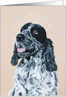 Oil painting of Spaniel card