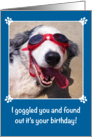 Birthday - I Goggled You - Australian Shepherd - Dog card