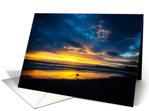 Encouragement - Dog in the Surf with Beautiful Sunset - card (1443852)