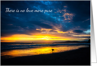 Sympathy - Dog at the Beach with Beautiful Sunset - Card