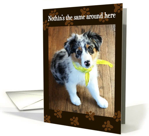 Get Well - Feel Better - Sad Australian Shepherd Puppy card (1448250)