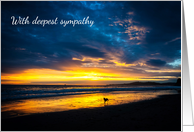 With Deepest Sympathy - Sincere Condolences - Beach Sunset - Dog card