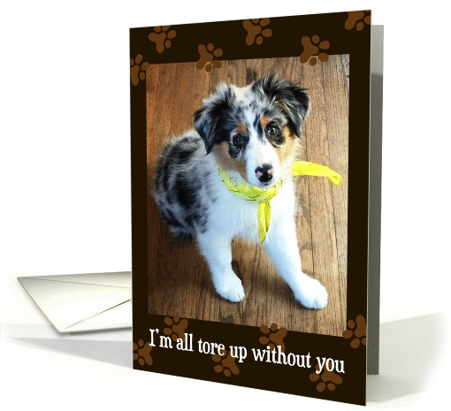 Miss You - Wish You Were Here - Australian Shepherd Puppy card