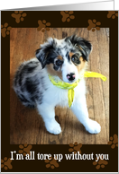 Miss You - Wish You Were Here - Australian Shepherd Puppy card