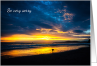 So Very Sorry - Sympathy - Condolences - Beach Sunset with Dog card