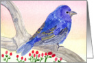 Blue Bird on a Branch card