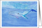Blue Whale card