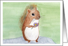 Cute Brown Squirrel Holding a Purple and Yellow Daisy Flower card